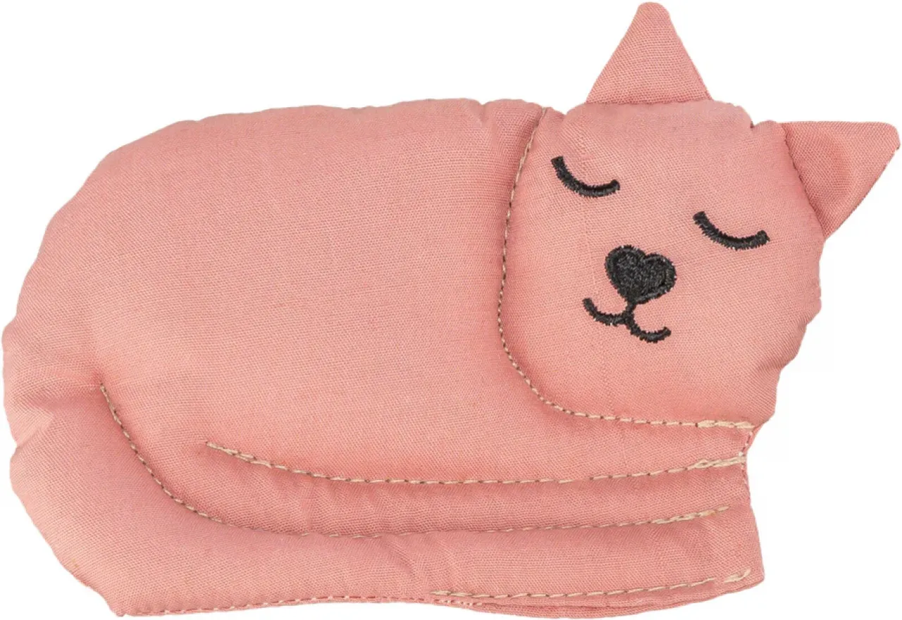 Katze